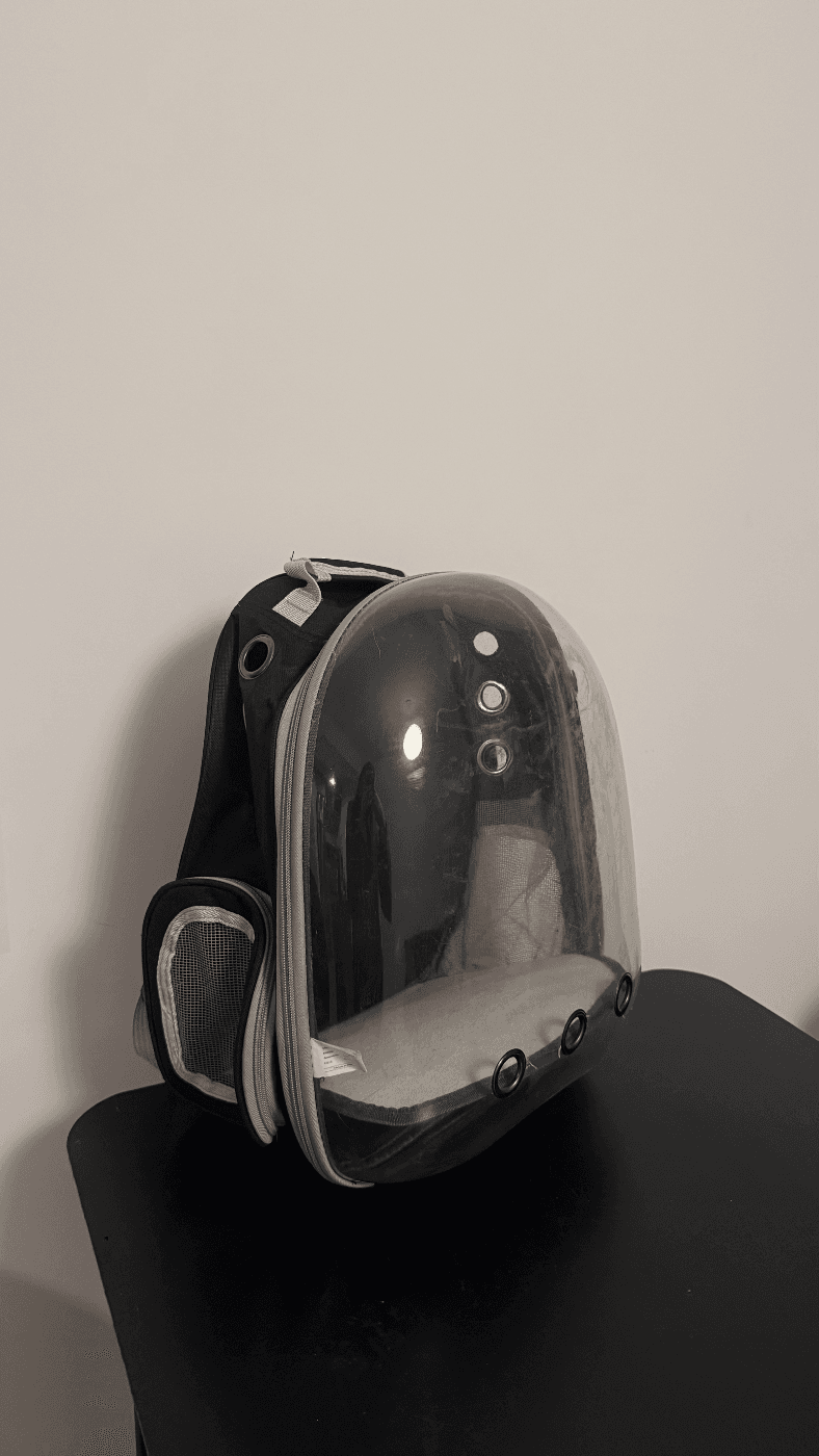 Mochila para mascotas