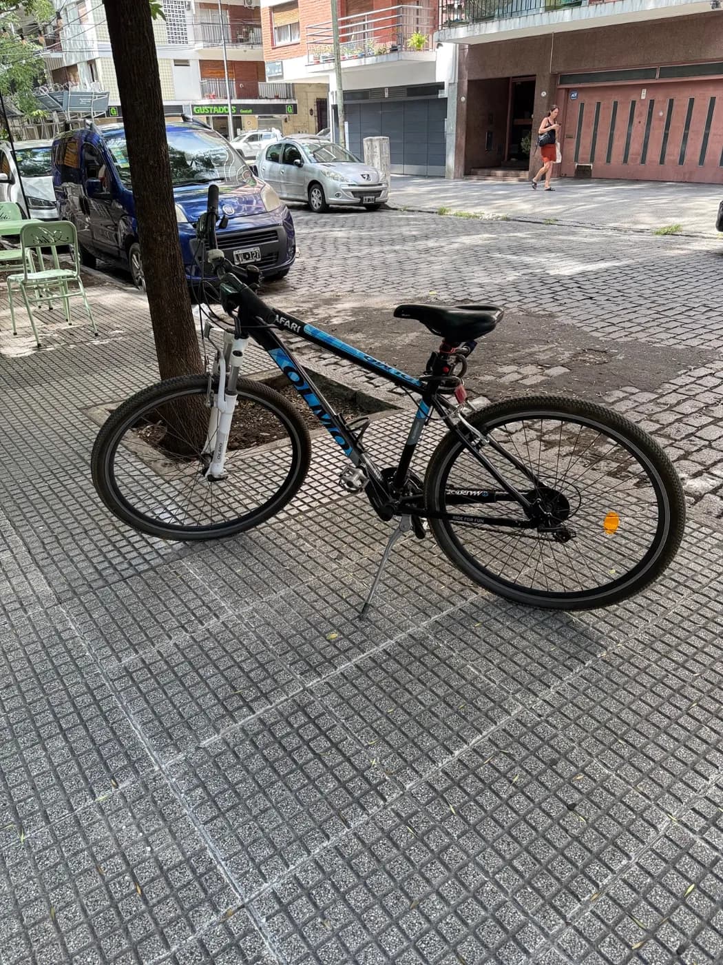 Bicicleta Olmo Safari