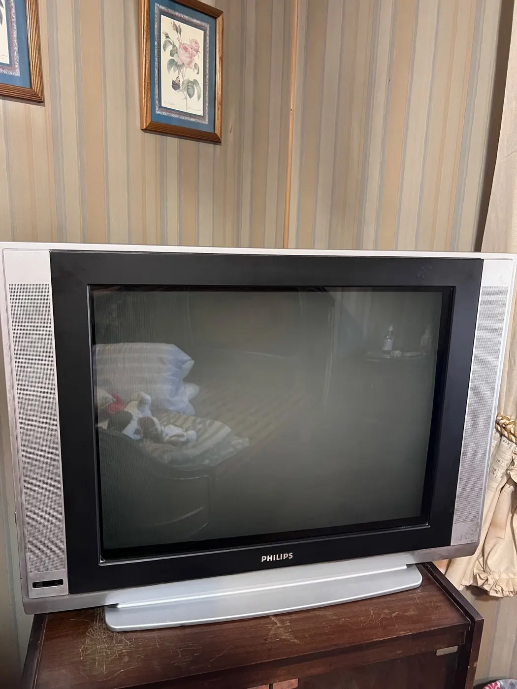 TV Philips 20 pulgadas