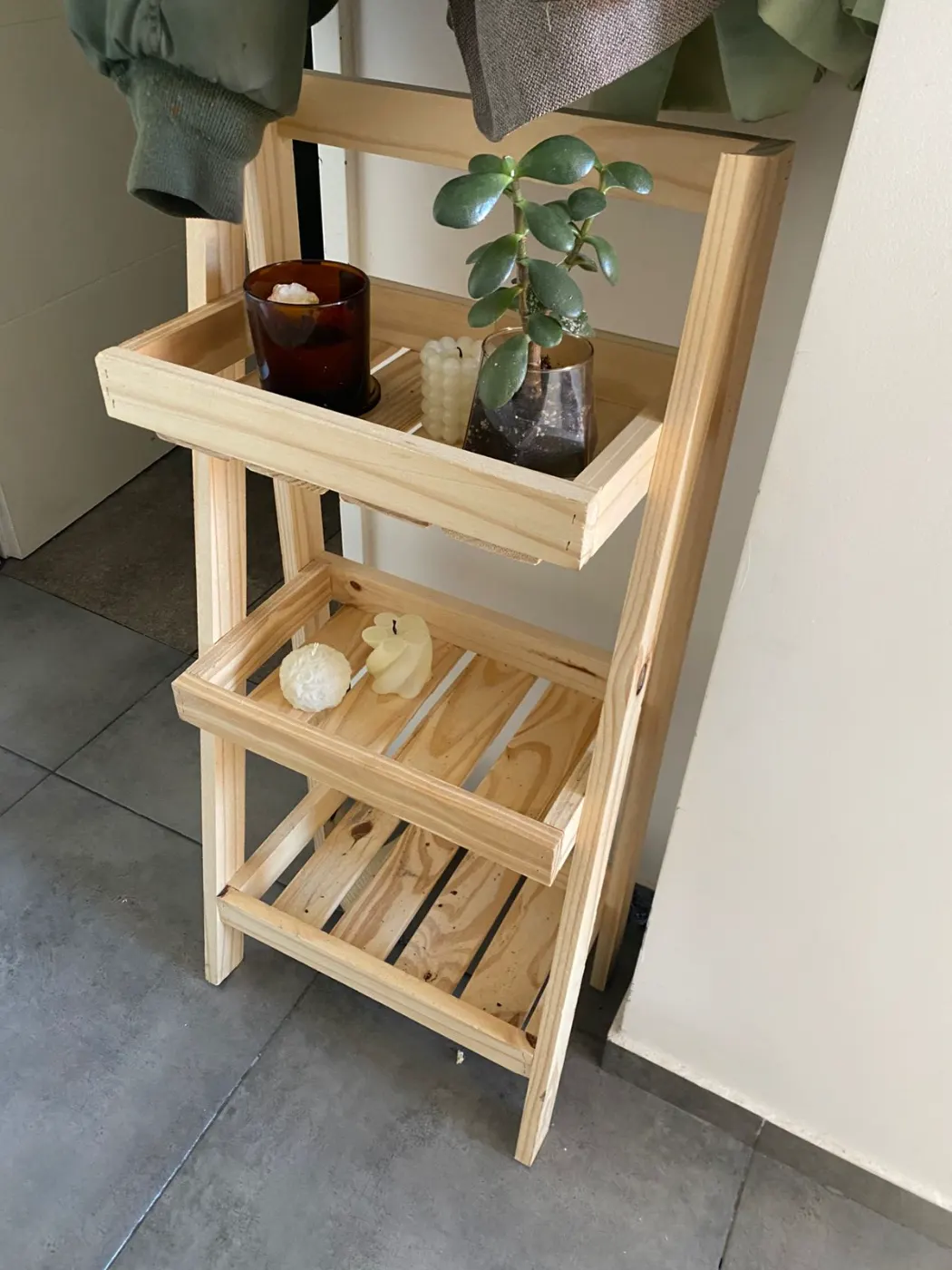 organizador