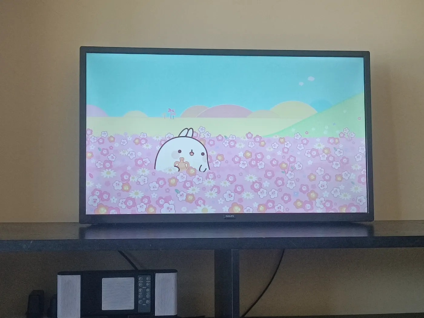 Televisor Philips