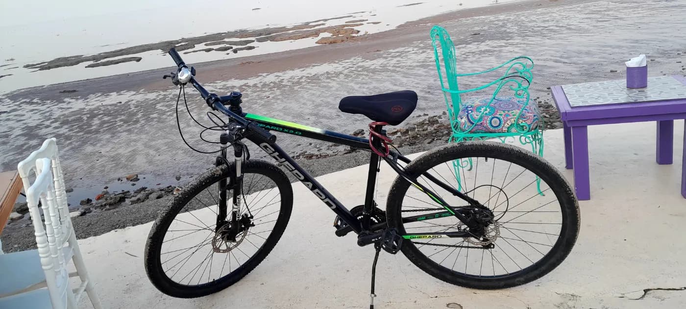 Bicicleta