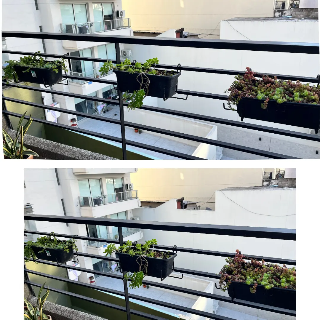 Combo de 3 Jardineras Colgantes para Balcón (con plantas)