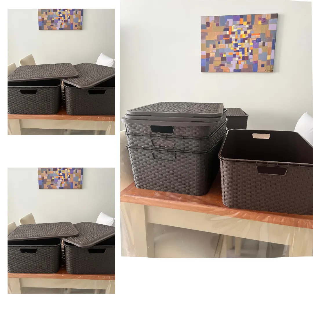 Cajas Organizadoras con Tapa