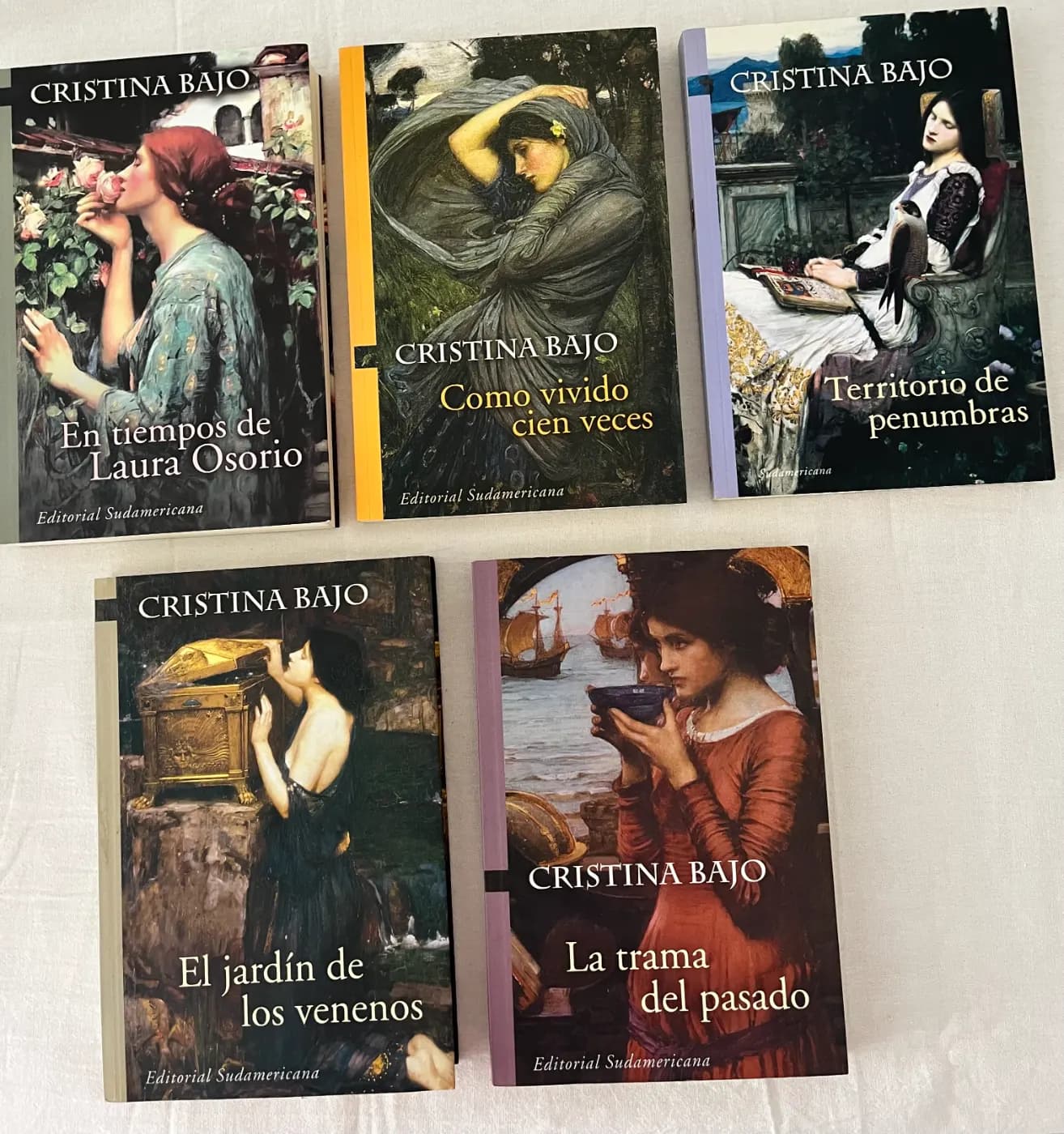Lote Libros Cristina Bajo